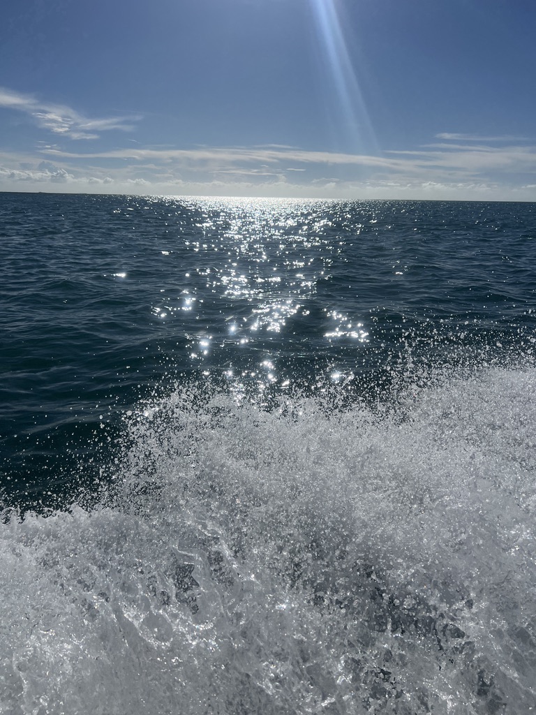 View of sparkling ocean water with waves splashing in the foreground and a bright blue sky above.